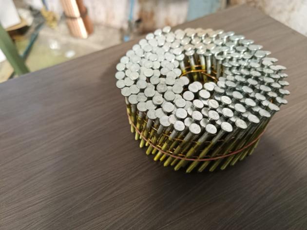 Coil nails