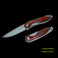 #393 Wooden Handle Knife