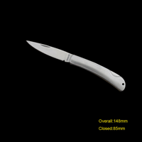 #311 Mini Gift Knife