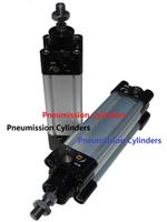 pneumatic cylinder