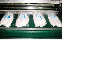 BASA FISH