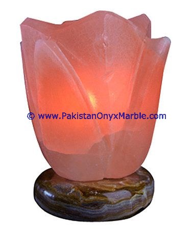 HIMALAYAN USB FLOWER SALT LAMPS CRAFTED