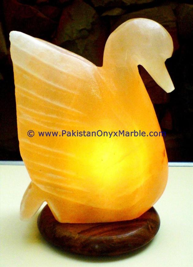 HIMALAYAN USB ANIMALS SALT LAMPS CRAFTED