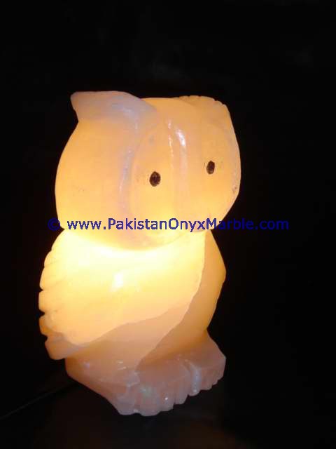 HIMALAYAN USB ANIMALS SALT LAMPS CRAFTED