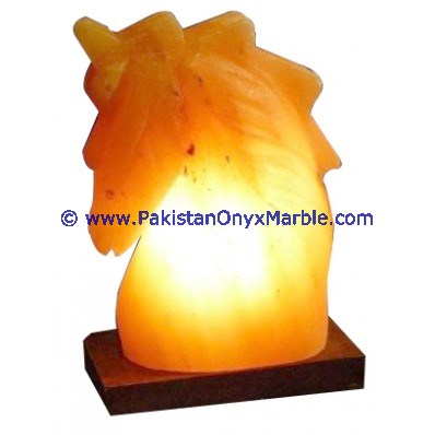 HIMALAYAN USB ANIMALS SALT LAMPS CRAFTED