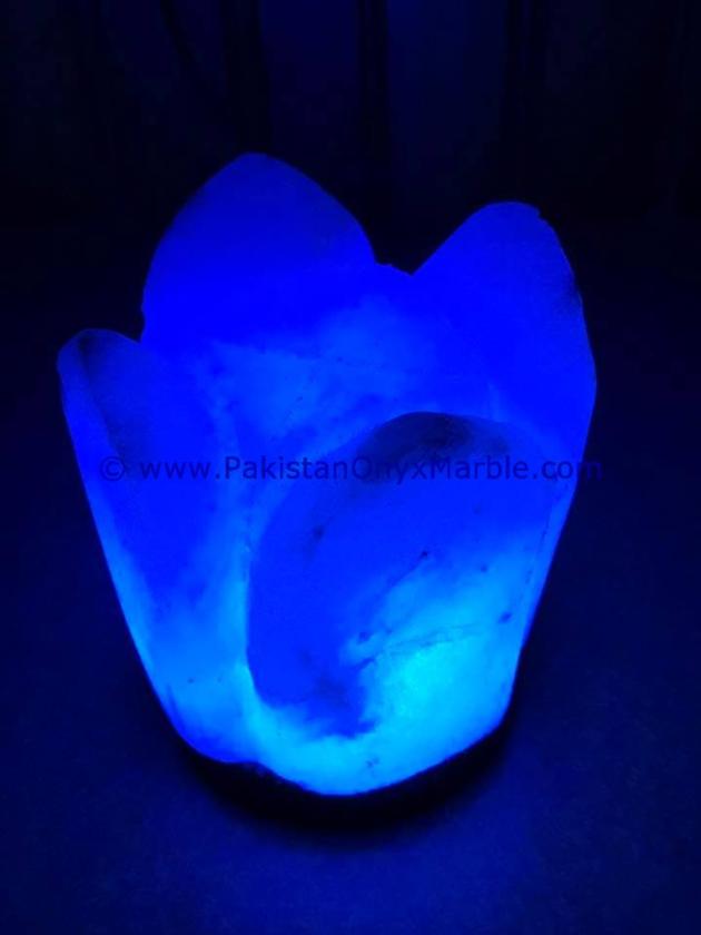 HIMALAYAN USB FLOWER SALT LAMPS CRAFTED