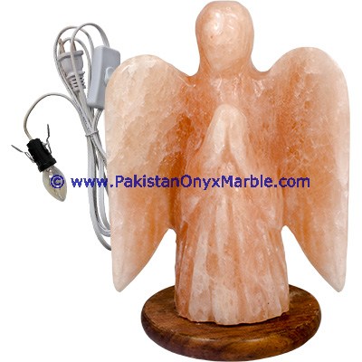 HIMALAYAN USB SALT LAMPS ANGEL SHAPE