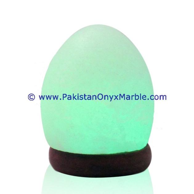 HIMALAYAN USB EGG SALT LAMPS CRAFTED