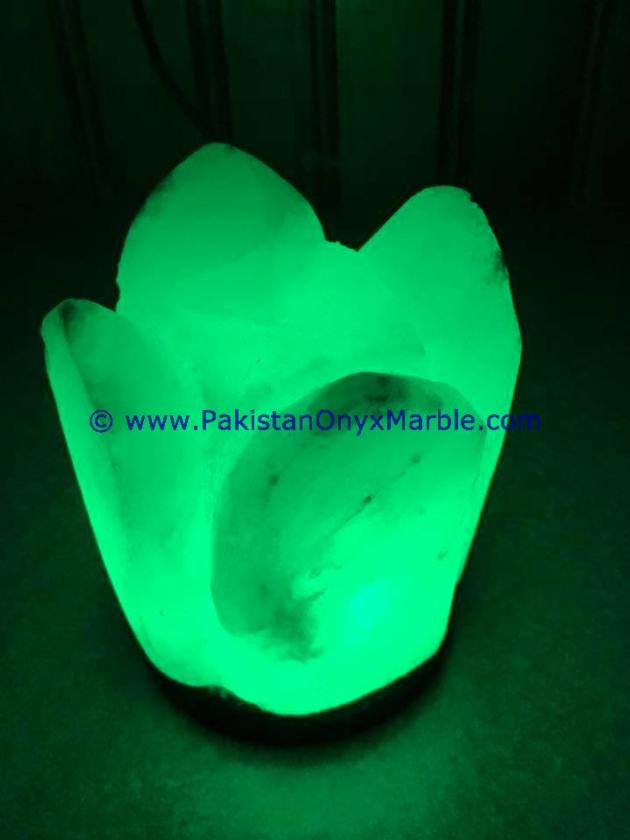 HIMALAYAN USB FLOWER SALT LAMPS CRAFTED