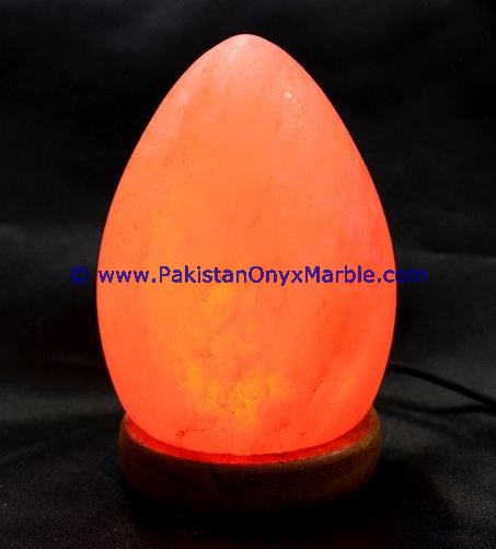HIMALAYAN USB EGG SALT LAMPS CRAFTED