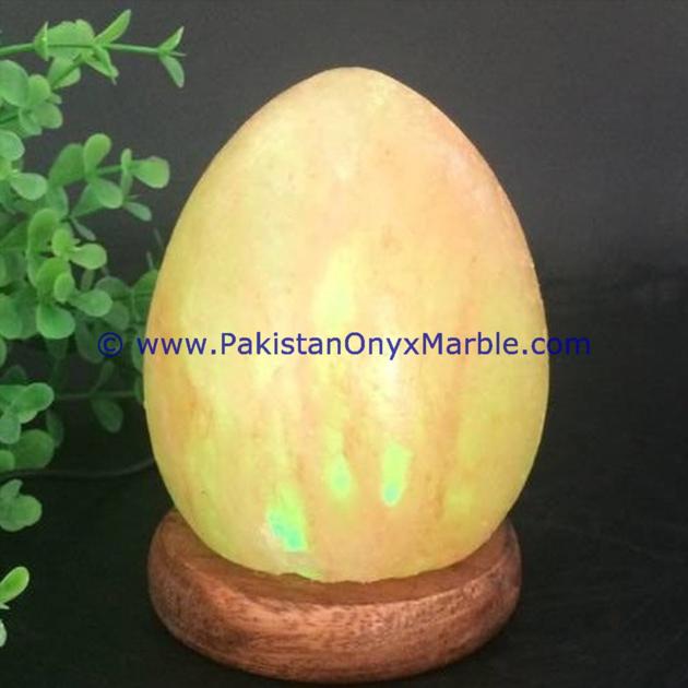 HIMALAYAN USB EGG SALT LAMPS CRAFTED