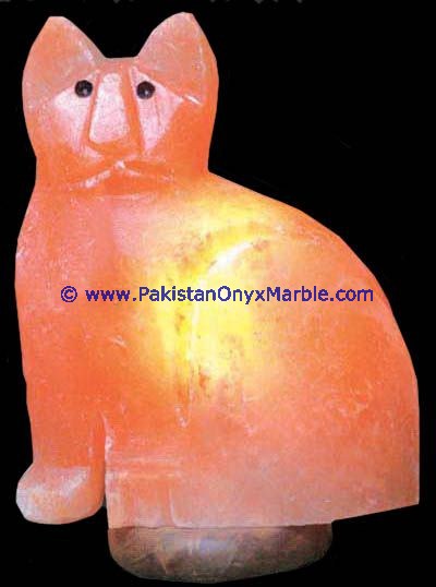 HIMALAYAN USB ANIMALS SALT LAMPS CRAFTED