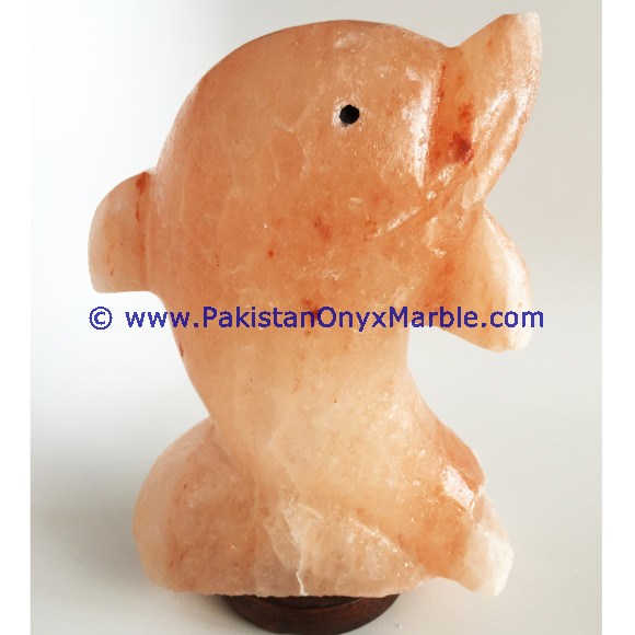 HIMALAYAN USB ANIMALS SALT LAMPS CRAFTED
