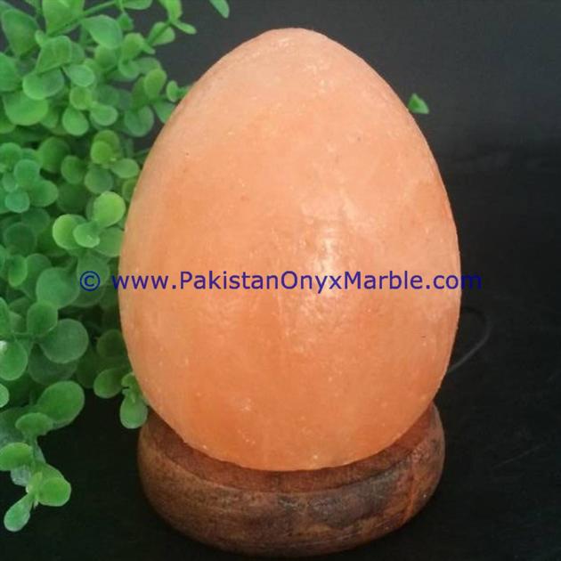 HIMALAYAN USB EGG SALT LAMPS CRAFTED