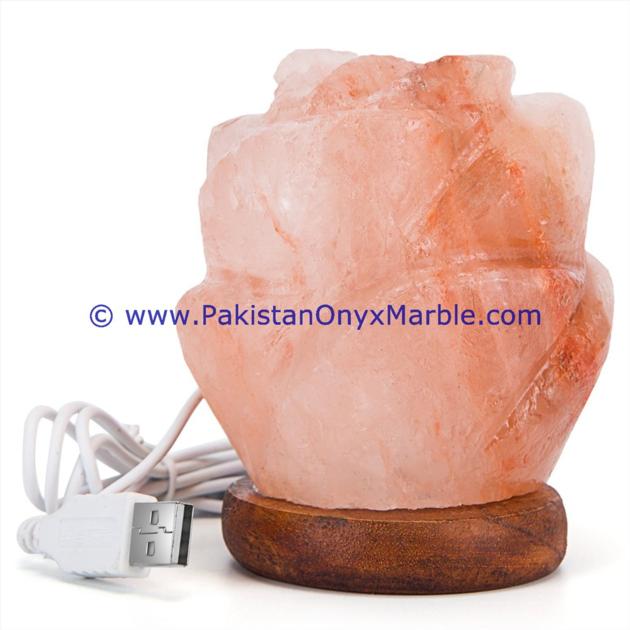 HIMALAYAN USB FLOWER SALT LAMPS CRAFTED
