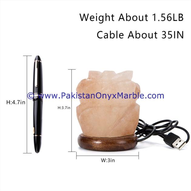 HIMALAYAN USB FLOWER SALT LAMPS CRAFTED