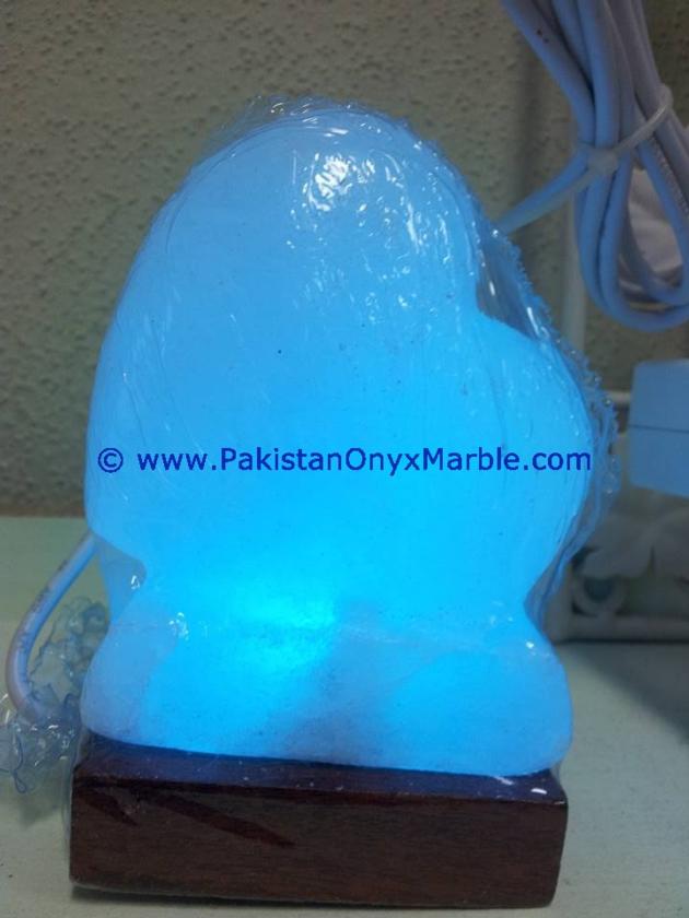 HIMALAYAN USB HEART SALT LAMPS CRAFTED
