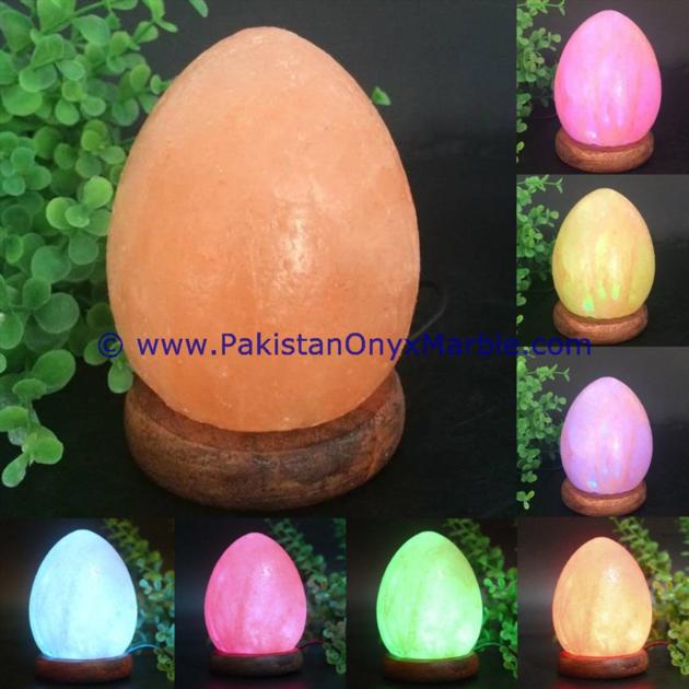 HIMALAYAN USB EGG SALT LAMPS CRAFTED