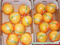 china pomelo