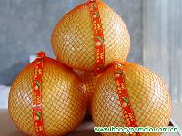 citrus fruit