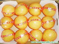 honey pomelo