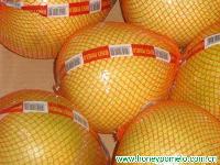 fresh pomelo fruit