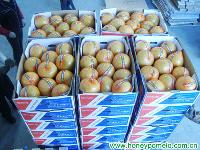 honeypomelo