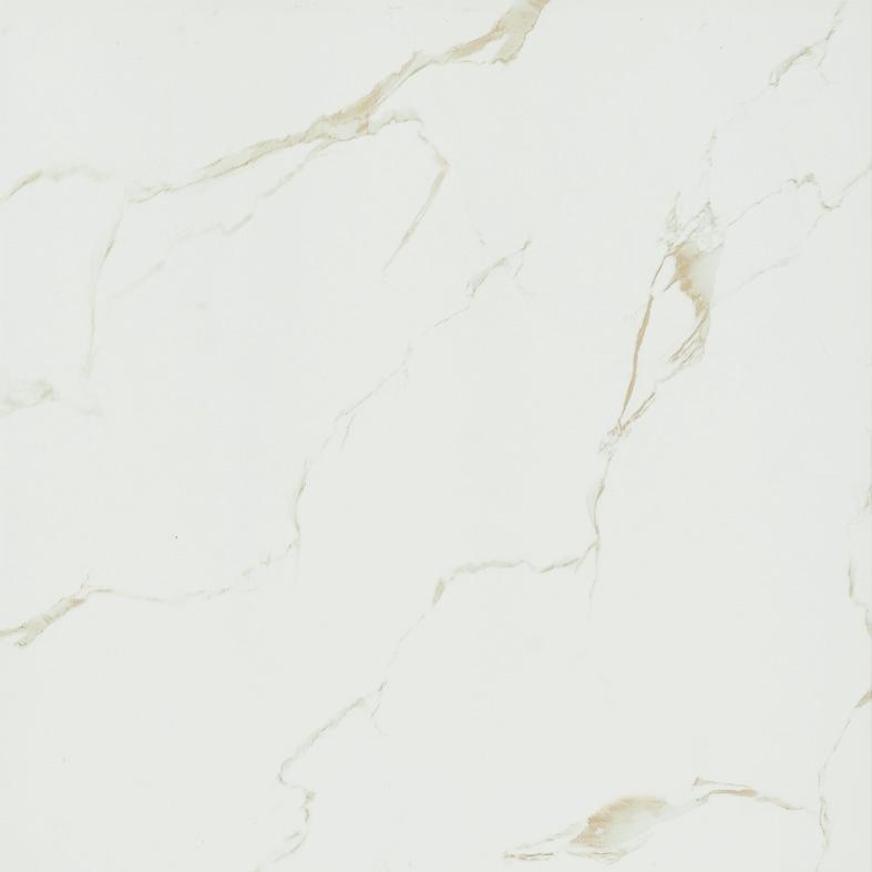 Full polished tile
