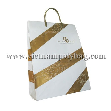 Vietnam Rigid Handle Plastic Promotion Bag