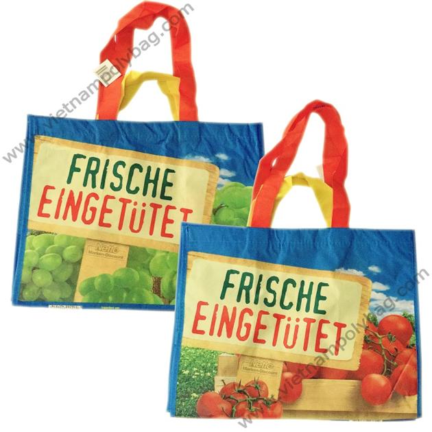 Vietnam RPET Shopping Bag Vietnampolybag Com