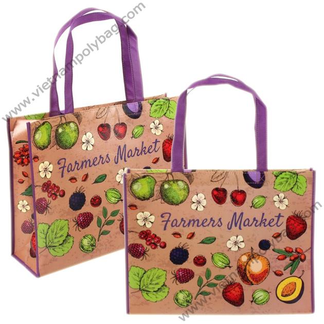 Vietnam RPET Shopping Bag Vietnampolybag Com