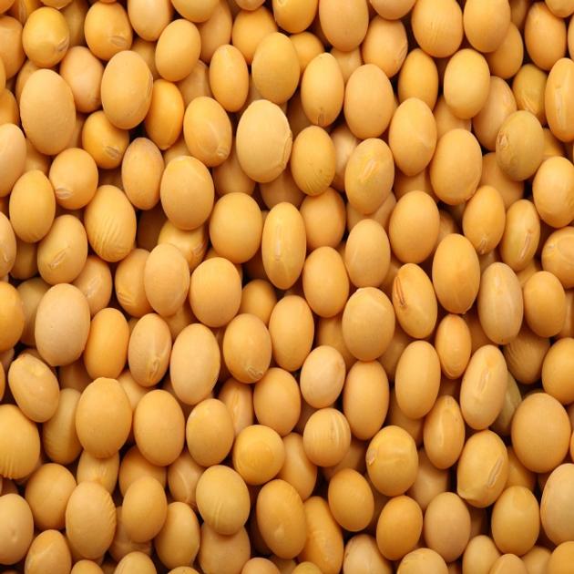 Soy bean