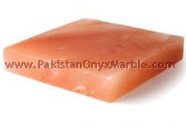 COOKING WITH HIMALAYAN SALT PLATES BLOCKS