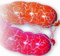 Luga-Fresh T Sinuga: sausage casing
