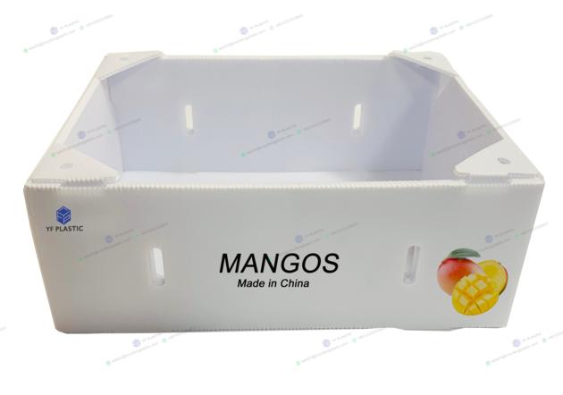 Custom Size Polypropylene Corrugated Fruit and Vegetable Packaging Box