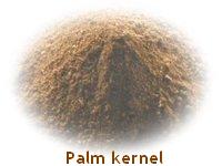 palm powder