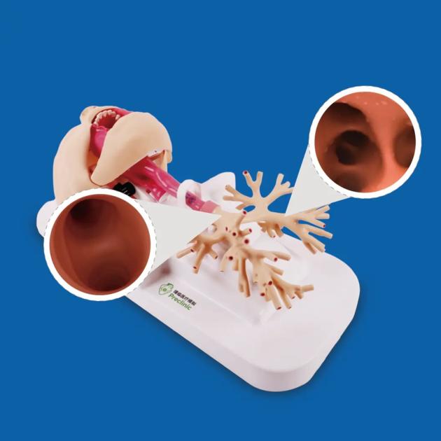 Respiratory Endoscope Training Model