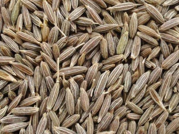 CUMIN SEEDS