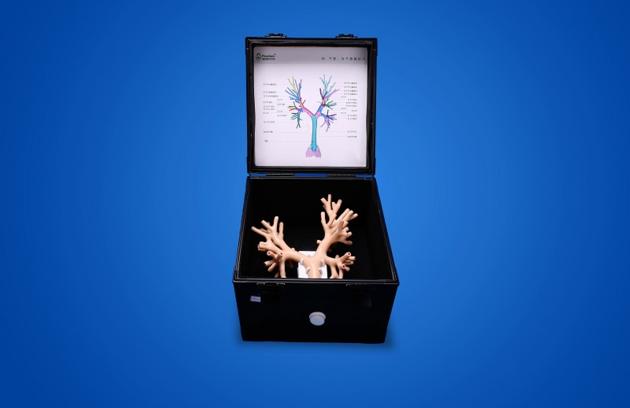 Endoscopy Simulators