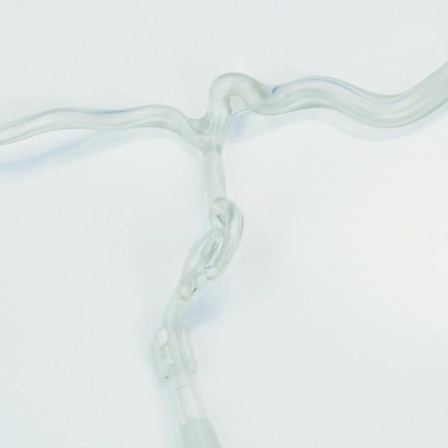 Anterior Cerebral Circulation Vessel Model