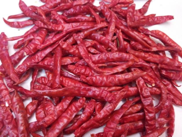 dry red chilli 