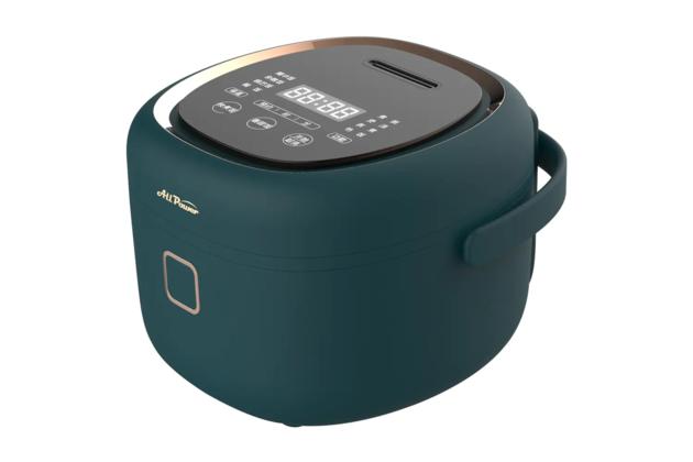 YDF-30FH02 3L MULTIFUNCTION RICE COOKER, 10 IN 1, QUICK/SLOW COOK, STEAM, SOUP