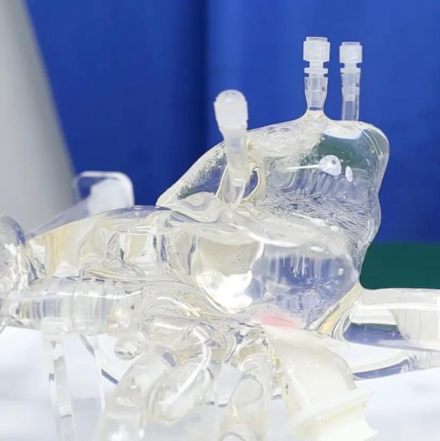 Cardiac Intervention Simulation Model