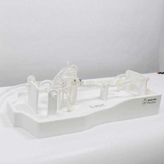 Cardiac Veins Simulation Model (Pacemaker Electrode Implantation)