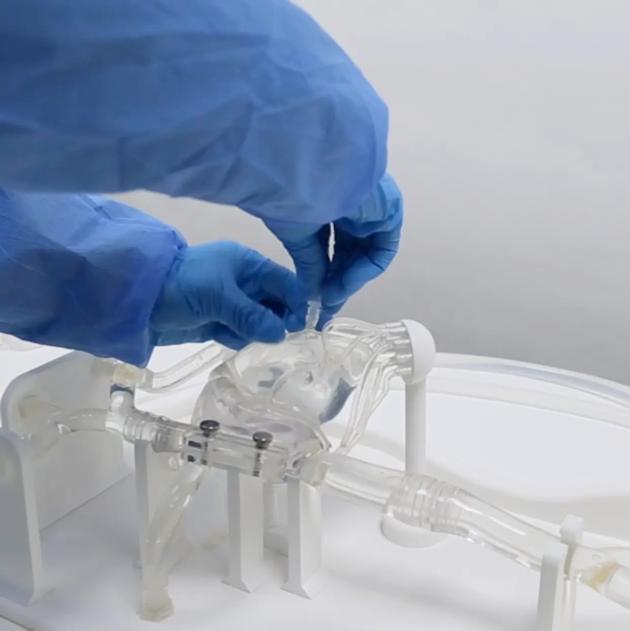 Cardiac Veins Simulation Model Pacemaker Electrode