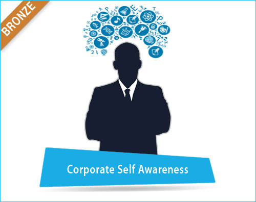 Corporate Self Awareness – Bronze