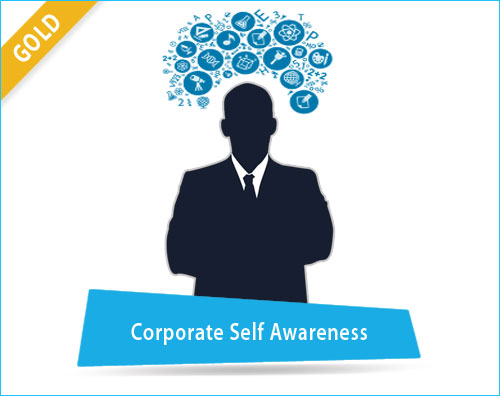 Corporate Self Awareness – Gold