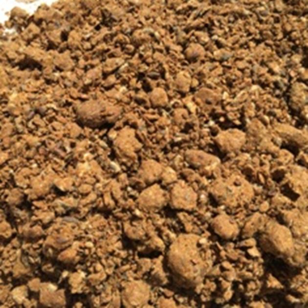 cottonseed meal 
