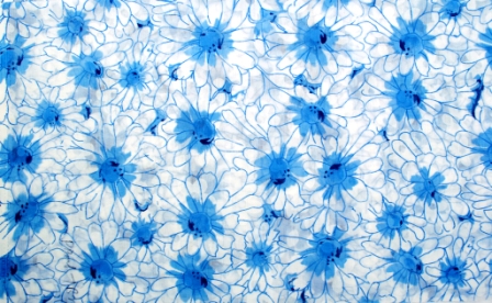 Pigment/Brasso