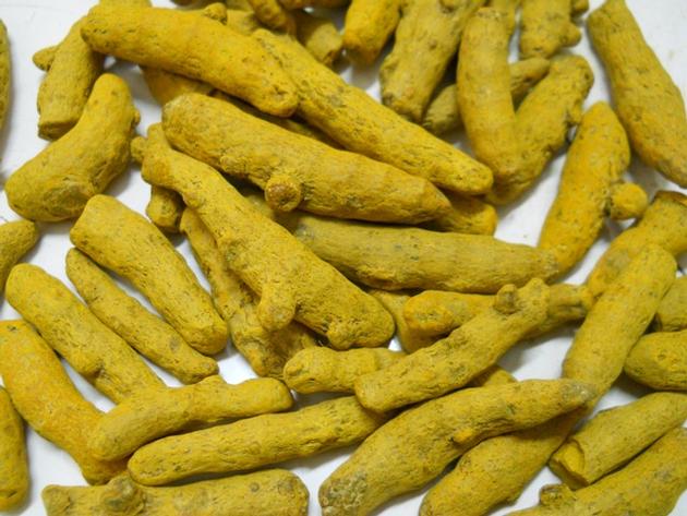 TURMERIC FINGER